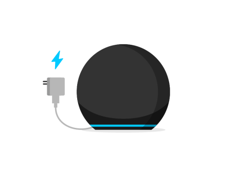 1. Plug in Echo and connect to the internet with the Alexa app.