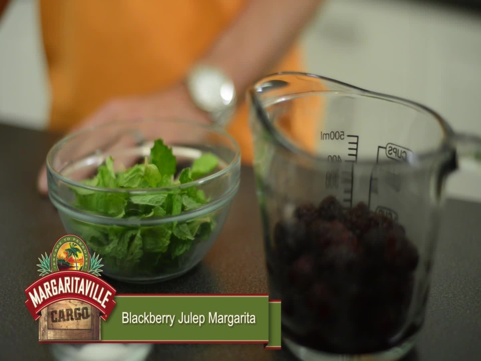 Margaritaville Mixed Drink Maker – Walmart Inventory Checker – BrickSeek