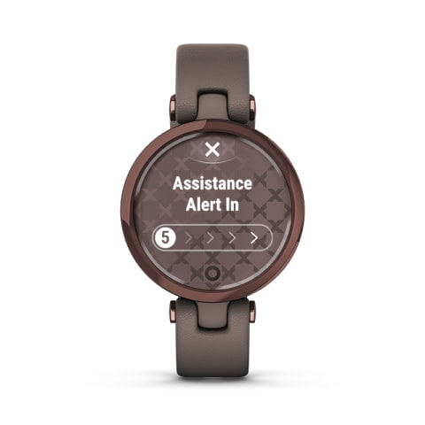 Garmin Lily Classic Edition Smartwatch (Dark Bronze Bezel with