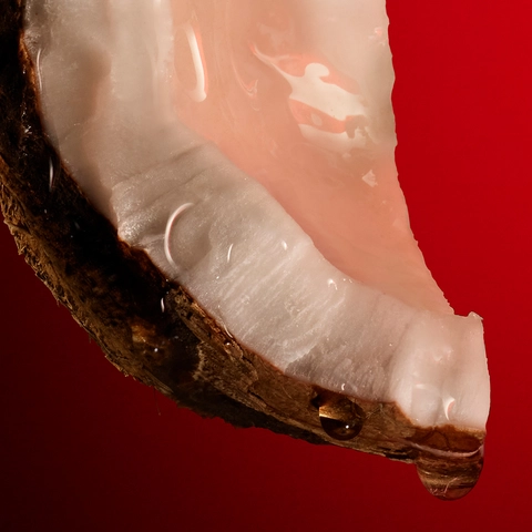 CREAMY COCONUT