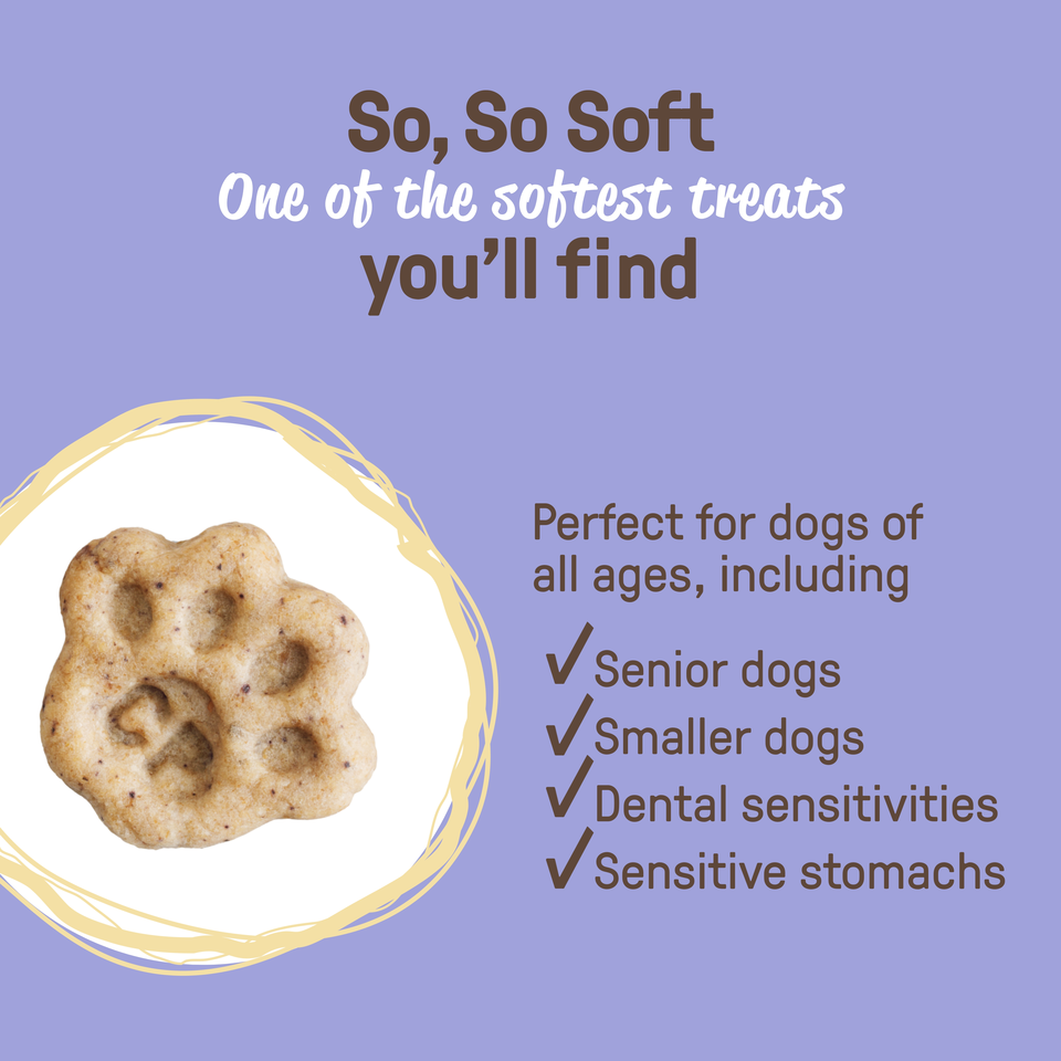 COOKIE PAL Spooky Bones Dog Treats, Peanut Butter & Blueberry, 300g – Giant Tiger