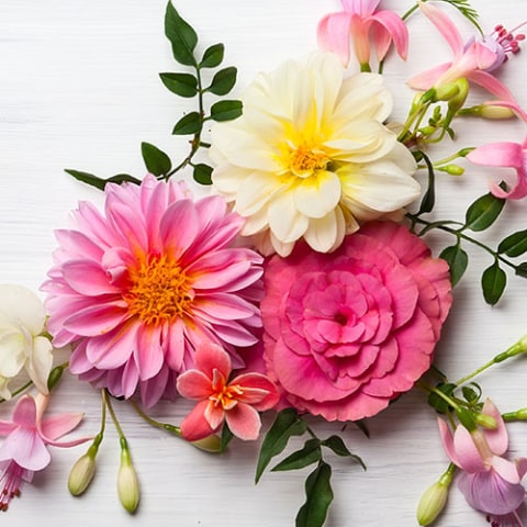  Yankee Candle Floral Wax Tarts - 10 Flower Scents Wax Melts  with Bonus Organza Bag: Fresh Roses, Midnight Jasmine, Tahitian Tiare,  Daffodil, Lavender, Gardenia, Tulips, Lilac & More!
