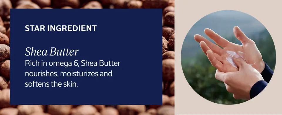 Shea Butter rich in omega 6, shea butter nourishes, moisturizes and softens the skin