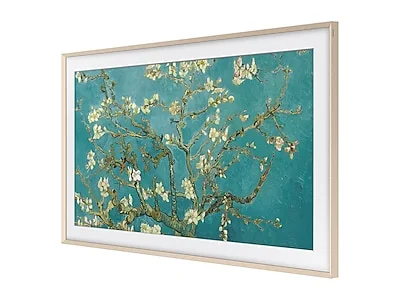 Samsung (2023) Customizable Bezel - VGSCFC55SGMZA | Abt