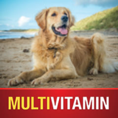 vetiq multivitamin for dogs
