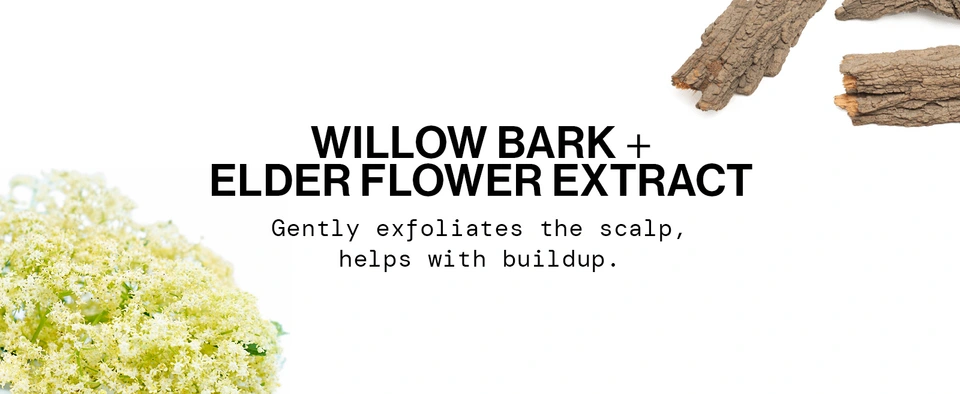 silicone sls parabens phthalates soy protein stimulates cares beloved ingredient care hydration willow bark lemon balm tilia cordata flower