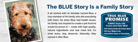 Blue Buffalo Sensitive Stomach Natural Adult Chicken u0026 Brown Rice