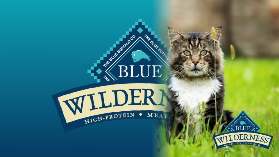 Dry Food Blue Wilderness High Protein Cat Food Blue Buffalo