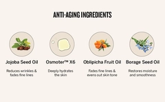 Anti-Aging Ingredients