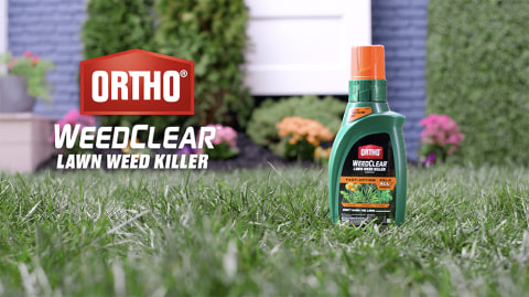 thumbnail video image 2 of (2 pack) Ortho WeedClear Lawn Weed Killer Concentrate, Kills Crabgrass and Dandelion, 32 fl. oz., 2 of 17