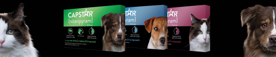 capstar petco