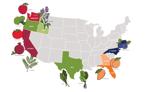 Map showing where some of the whole food ingredients are farmed in the United States. Washington, Oregon, Idaho, California, Texas, N. Carolina, Georgia, and Florida.