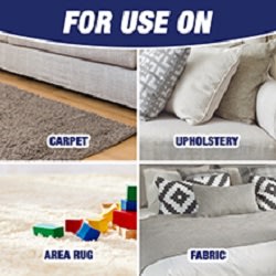Resolve 22 oz. Pet Expert High Traffic Foam Carpet Cleaner 19200-83262 -  The Home Depot