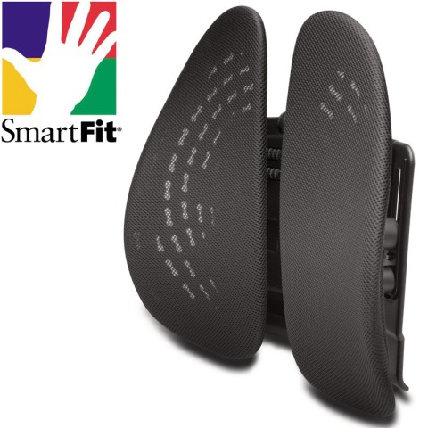 kensington smartfit conform back support