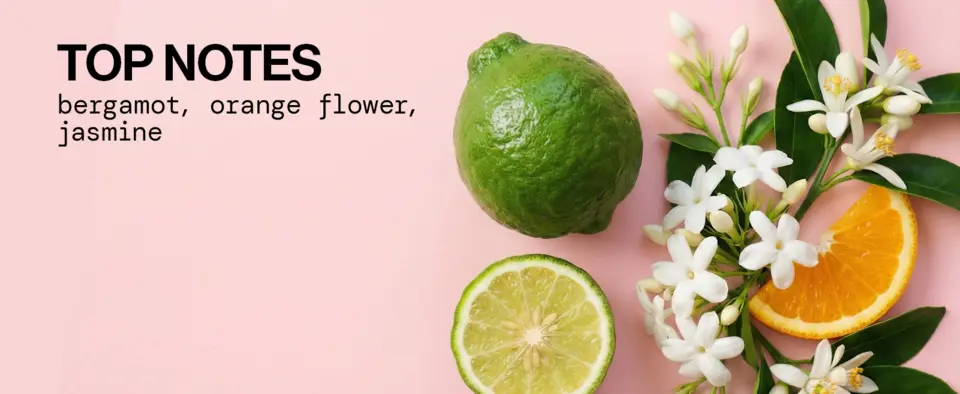 Pacifica body mist on vanity showing floral green notes and tuberose for everyday skin refresh.