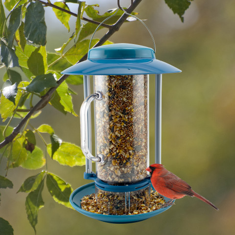 audubon suet feeder