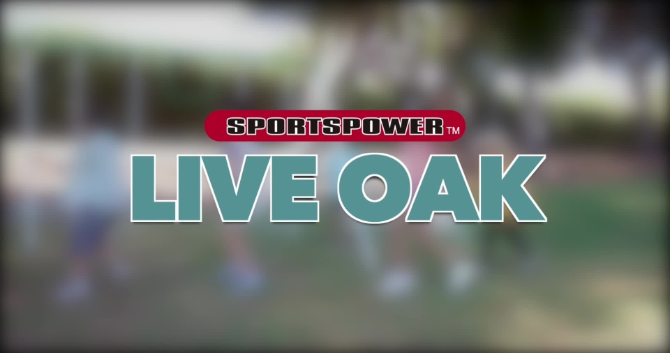 Sportspower Live Oak Metal Swing Set with 6' Heavy Duty Double Wall Slide with Lifetime Warranty - image 2 of 12