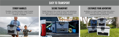 Ninja FrostVault 50 Qt. Hard Cooler with Dry Zone | Dick's