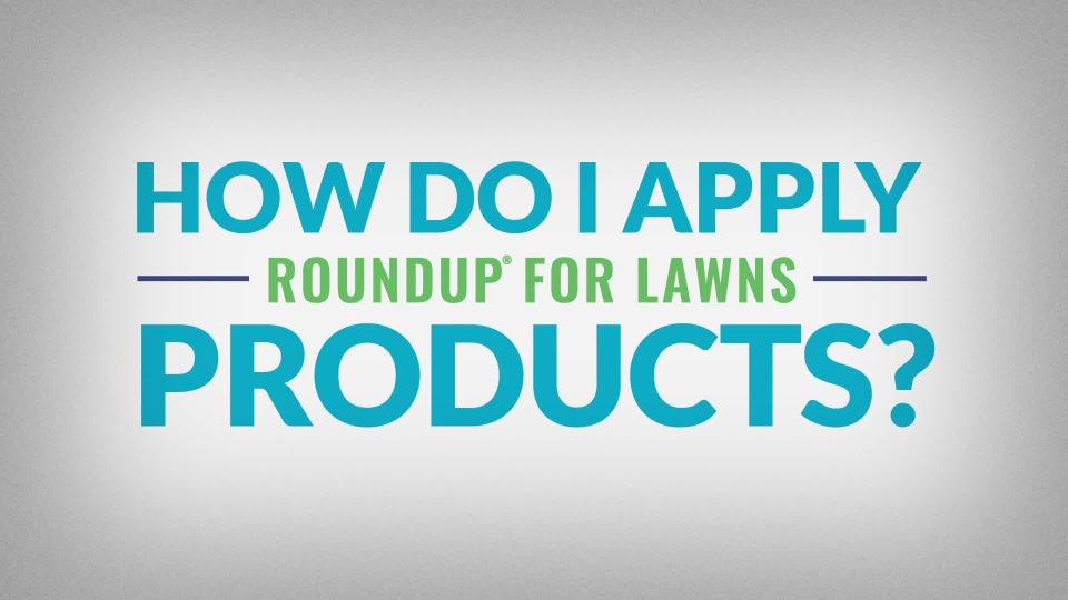 thumbnail video image 2 of Roundup For Lawns 4 Ready-To-Use (Southern) Extended Wand, 1 gal., 2 of 9