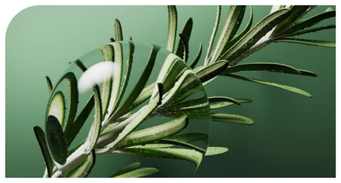 ROSEMARY OIL​