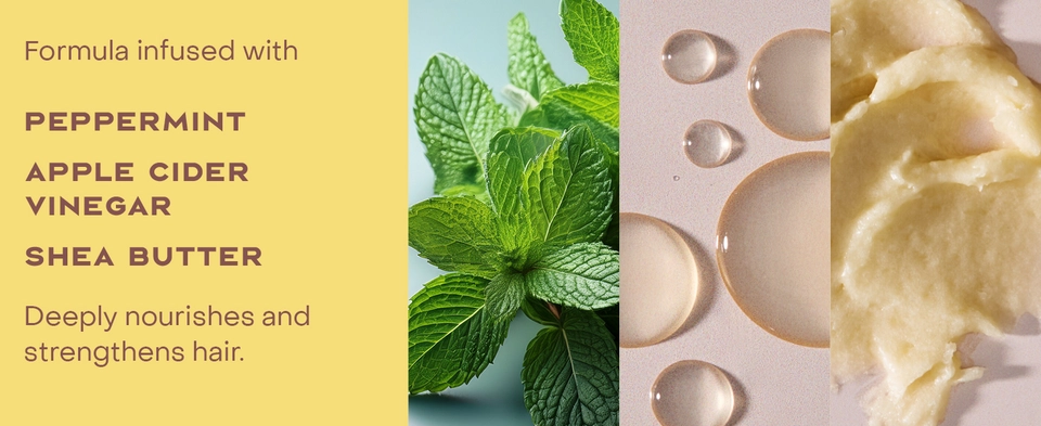 Image of some formula ingredients like peppermint, apple cider oil &amp; shea butter.