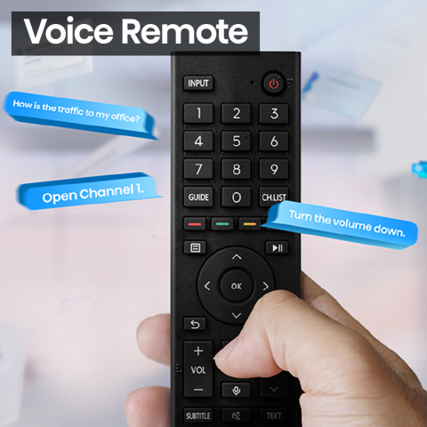 Voice Remote