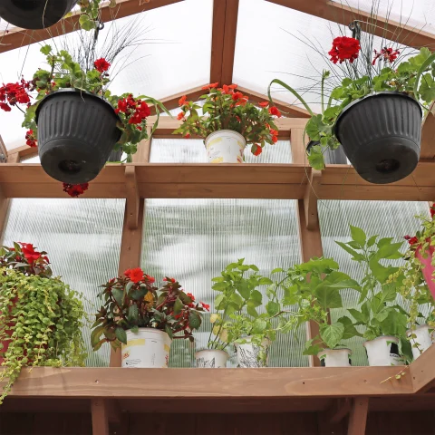 6’ High Sidewalls provide room height, increasing light and air volume for healthy plant growth. The extra height allows customers to double up shelves and maximize the interior space