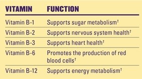 The B Family of Vitamins