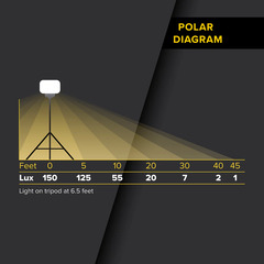 Light on 6.5 ft. tripod reaches 45 ft.