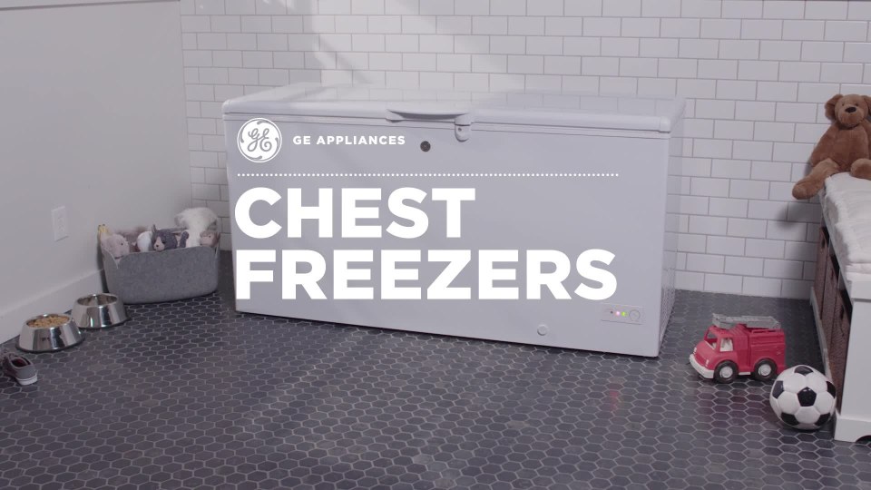 GE Appliances FCM16DLWW 65 Inch Chest Freezer White