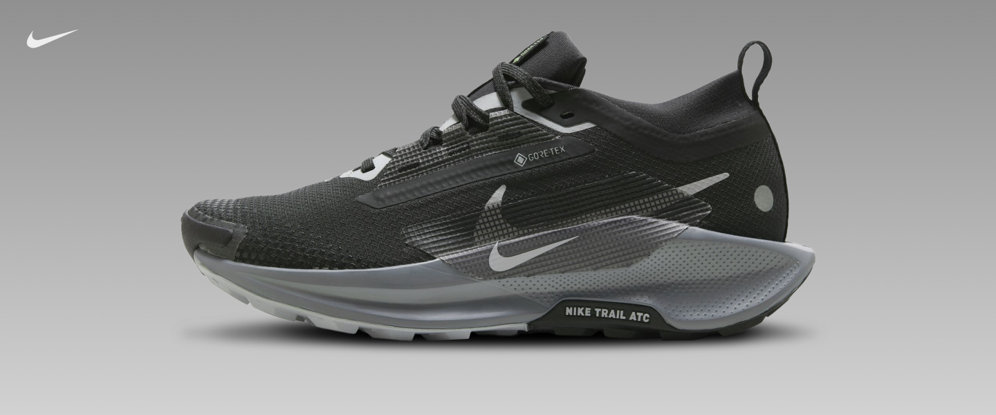 Nike Women's Pegasus Trail 5 GORE-TEX Running Shoes | Dick's