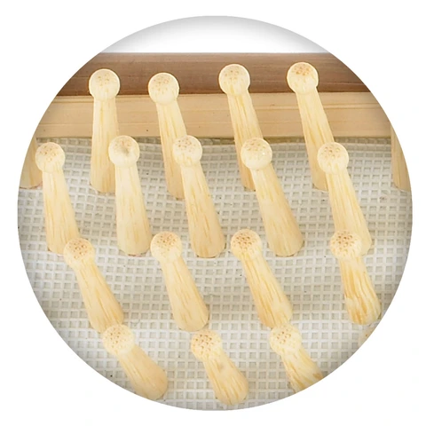 Thick Bamboo Ionic Bristles