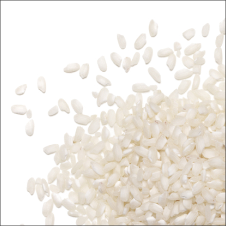 Proprietary Rice Protein Complex