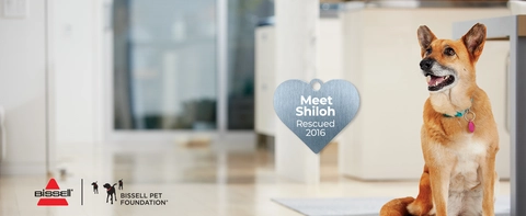 Every Purchase Saves Pets™