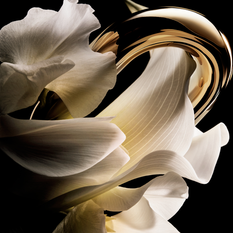 White Flower Heart Note