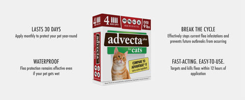 Advecta Plus Flea Protection for Large Cats Fast Acting Topical Flea Prevention 4 Count