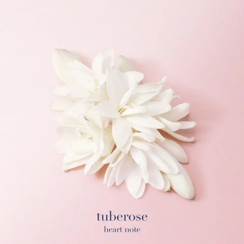 HEART NOTES:  TUBEROSE &amp; JASMINE FROM INDIA