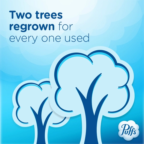 Two trees regrown for every one used.