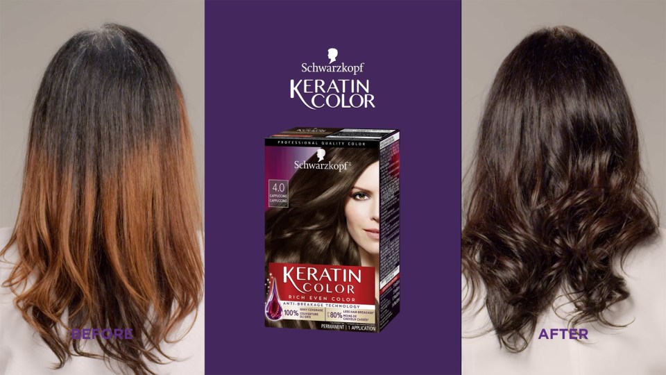 Schwarzkopf Keratin Color Permanent Hair Dye Ruby Noir Long