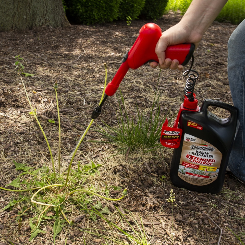 Spectracide Weed & Grass Killer, Accushot Spray, 1.33 gal