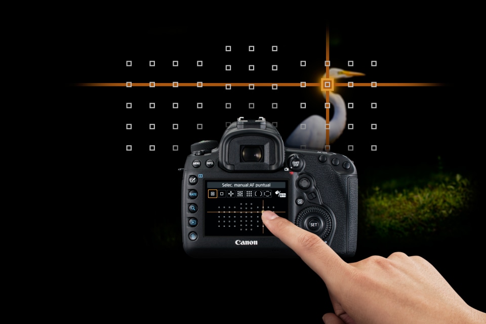canon 5d mark iv autofocus settings