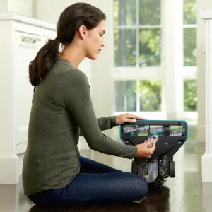 Clear the Brush Roll