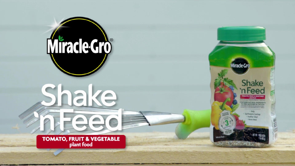 thumbnail video image 2 of Miracle-Gro Shake 'N Feed Tomato, Fruit and Vegetable Plant Food, 1 lb., 2 of 12