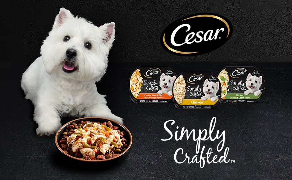 Cesar simply crafted chicken dog outlet food