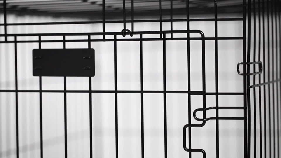 thumbnail video image 2 of MidWest Homes for Pets 24" Plastic Pet Crate for Dogs with Divider Panel, 2 of 7