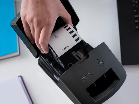 dogl17250枚 2_000000002144.jpg?1717569987