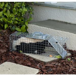 Havahart Cage Trap Model 1078 for Squirrels, Skunks, Mink and