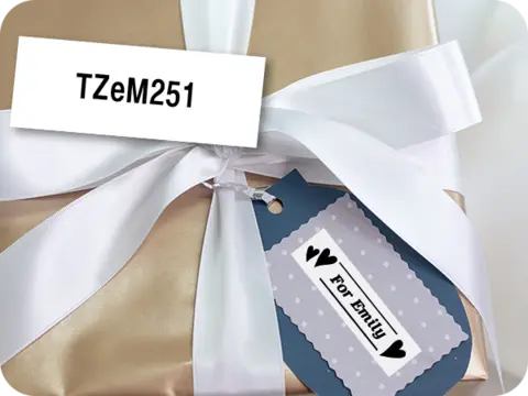 TZEM251 | LabelMakersPrinters | By Brother