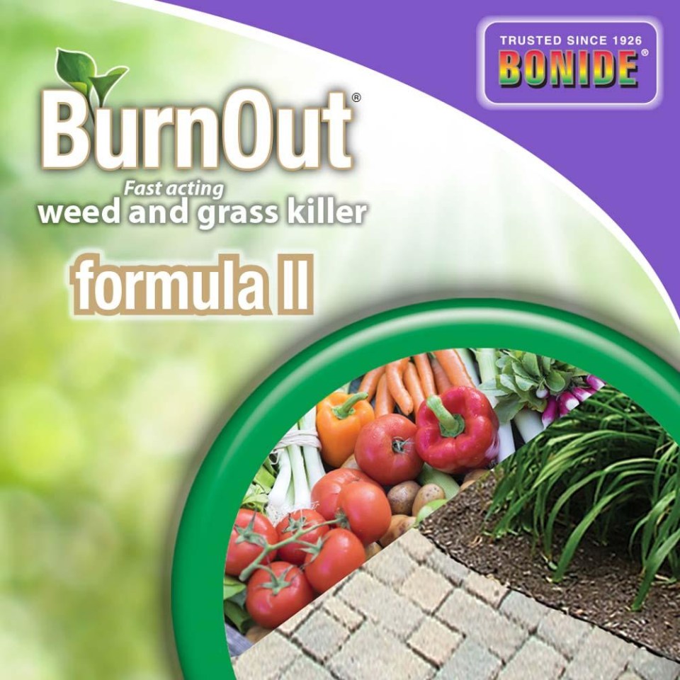 Bonide Bonide Burnout Formula Ii 32 Fl Oz Concentrated Weed And Grass Killer In The Weed Killers Department At Lowes Com