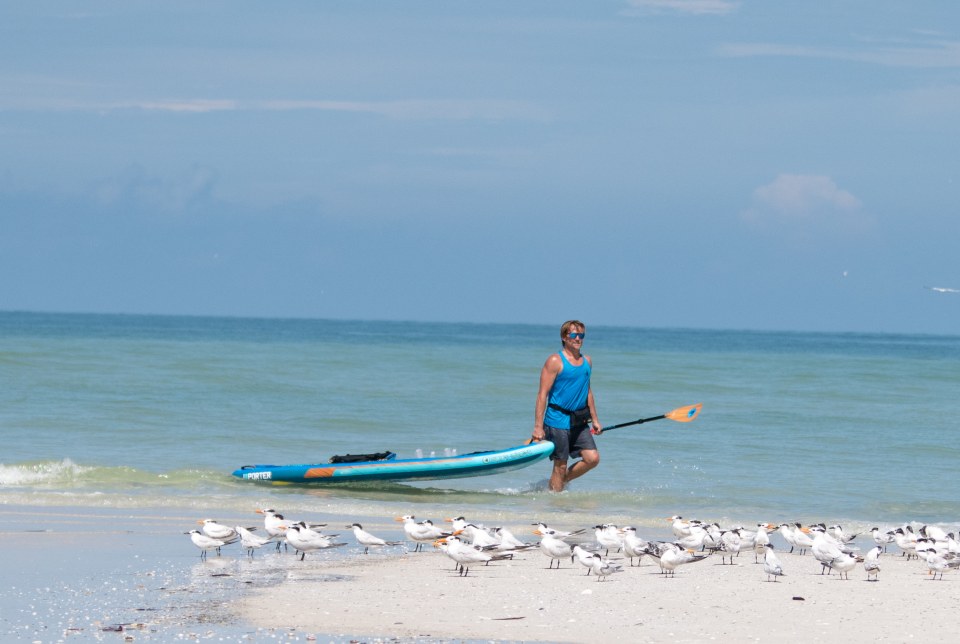 Body Glove Porter Inflatable Kayak 2.9 m (9.5 ft.) Alpha Outlets